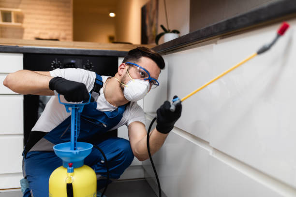 Best Pest Control Near Me in Spring Green, WI