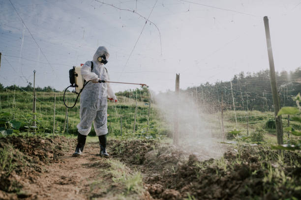 Best Termite Control Services  in Spring Green, WI