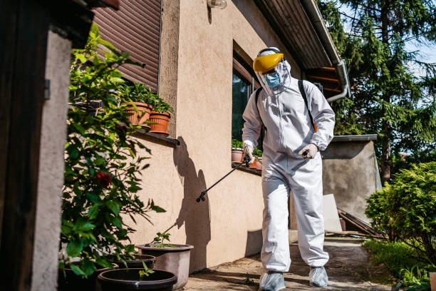 Wasp Removal Services in Spring Green, WI