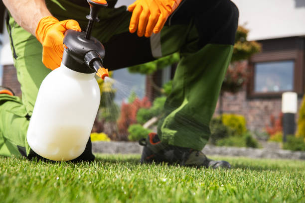 Bird Control in Spring Green, WI