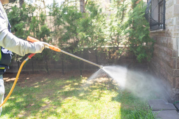 Spider Control Near Me in Spring Green, WI