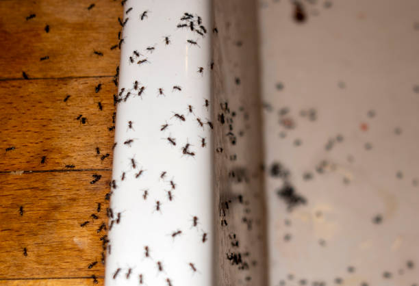 Best Commercial Pest Control Services  in Spring Green, WI