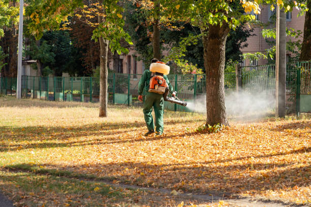 Best Bed Bug Extermination  in Spring Green, WI